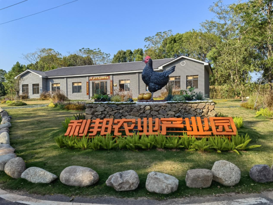 江西南昌:90后小伙養(yǎng)雞創(chuàng)業(yè) 譜寫鄉(xiāng)村振興“青春之歌”